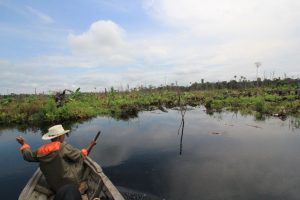 Palm Oil Disaster