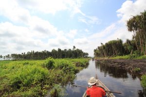 Cookie Campaign - Palm oil